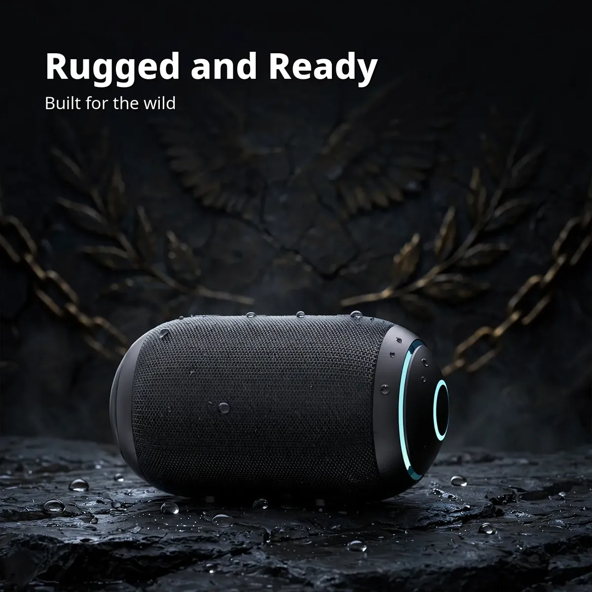 Philips TAS3209 rugged and ready card showing the tough outdoor build