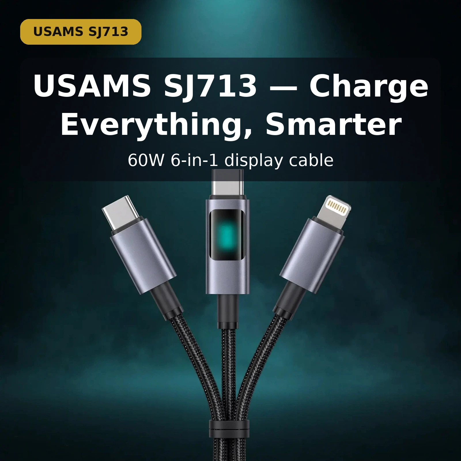 USAMS-SJ713-11