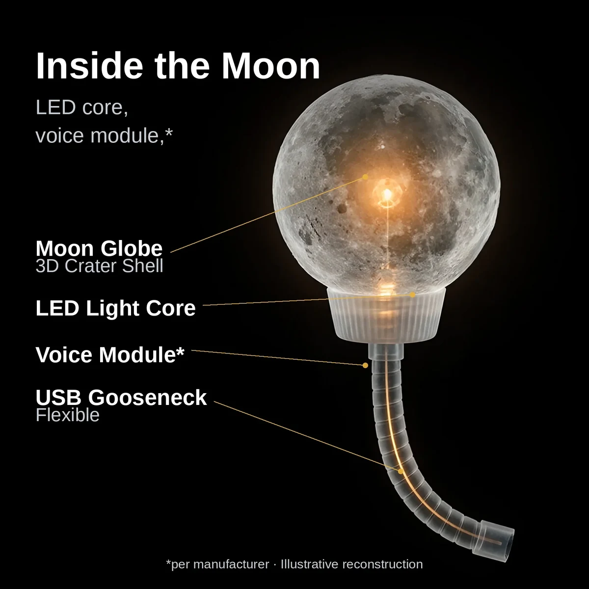 Cutaway view showing the LED core and gooseneck of the moon light voice controlled lamp, illustrative reconstruction