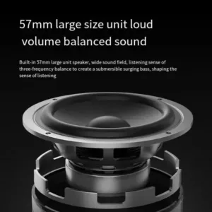 Philips TAS3209 Portable Wireless IPX7 Waterproof Bluetooth Speaker