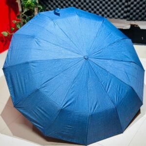Premium 12-Ribs Automatic Umbrella With Flash Light - Blue
