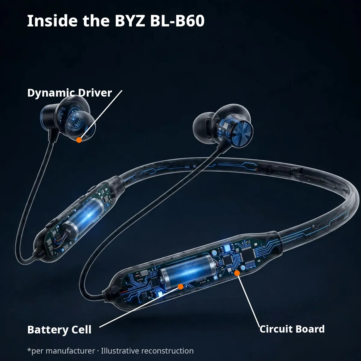 BYZ BL-B60 x-ray cutaway with leader-line callouts — Inside the BYZ BL-B60: dynamic driver, battery cell, circuit board. Per manufacturer, illustrative reconstruction.