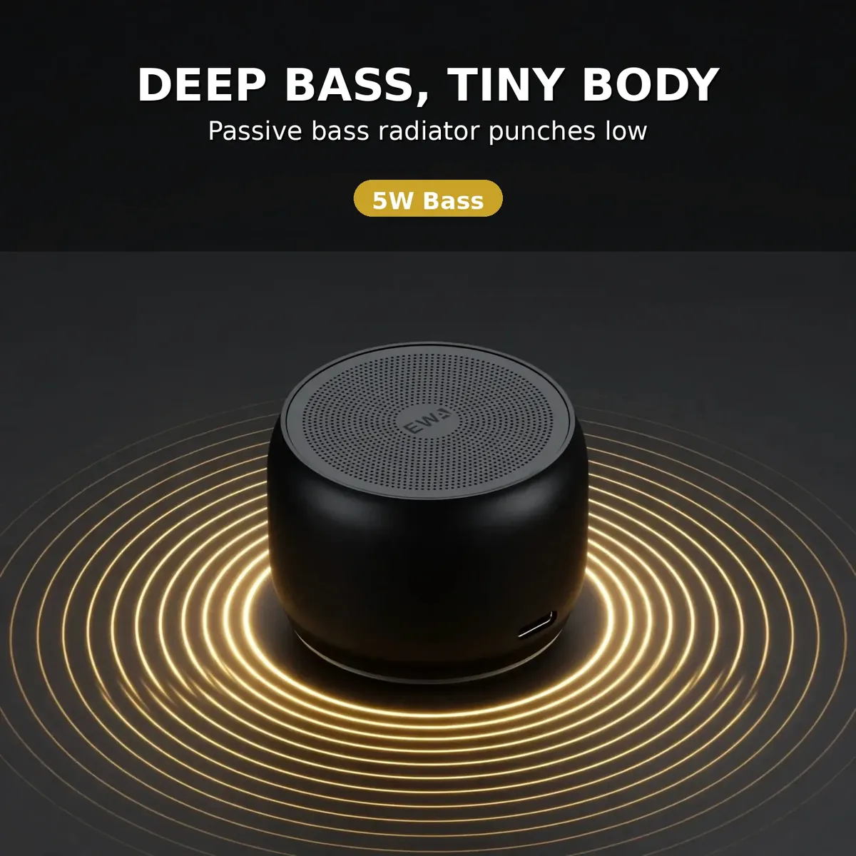 EWA A126 bass card — Deep Bass, Tiny Body. Passive bass radiator punches low.